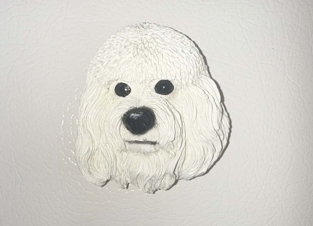 Living Stone Bichon Frise Large Refrigerator Magnet Vintage 1999